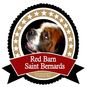 Red Barn Saint Bernards, Quality happy healthy Saint Bernards, raised with love. We have a strict clean yet fun environment we raise our puppies in, on our three acre Saint farm. We at times team up with other local breeders to offer you Beautiful Pure S